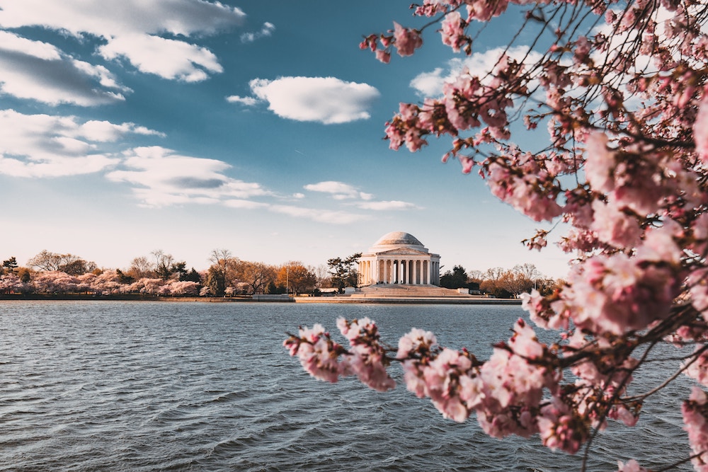 2019 National Cherry Blossom Festival in Washington DC